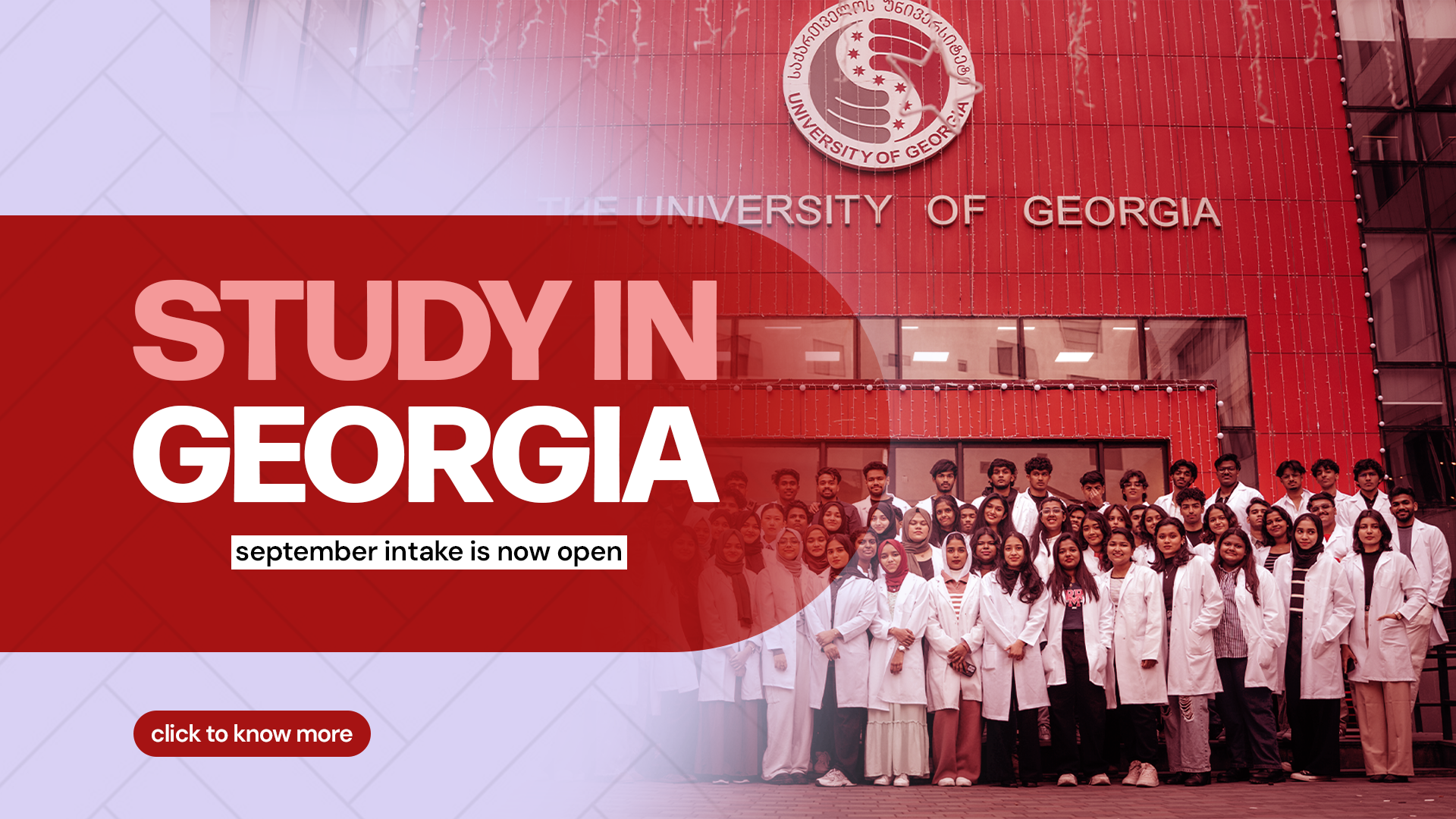 Bayroot Study Abroad