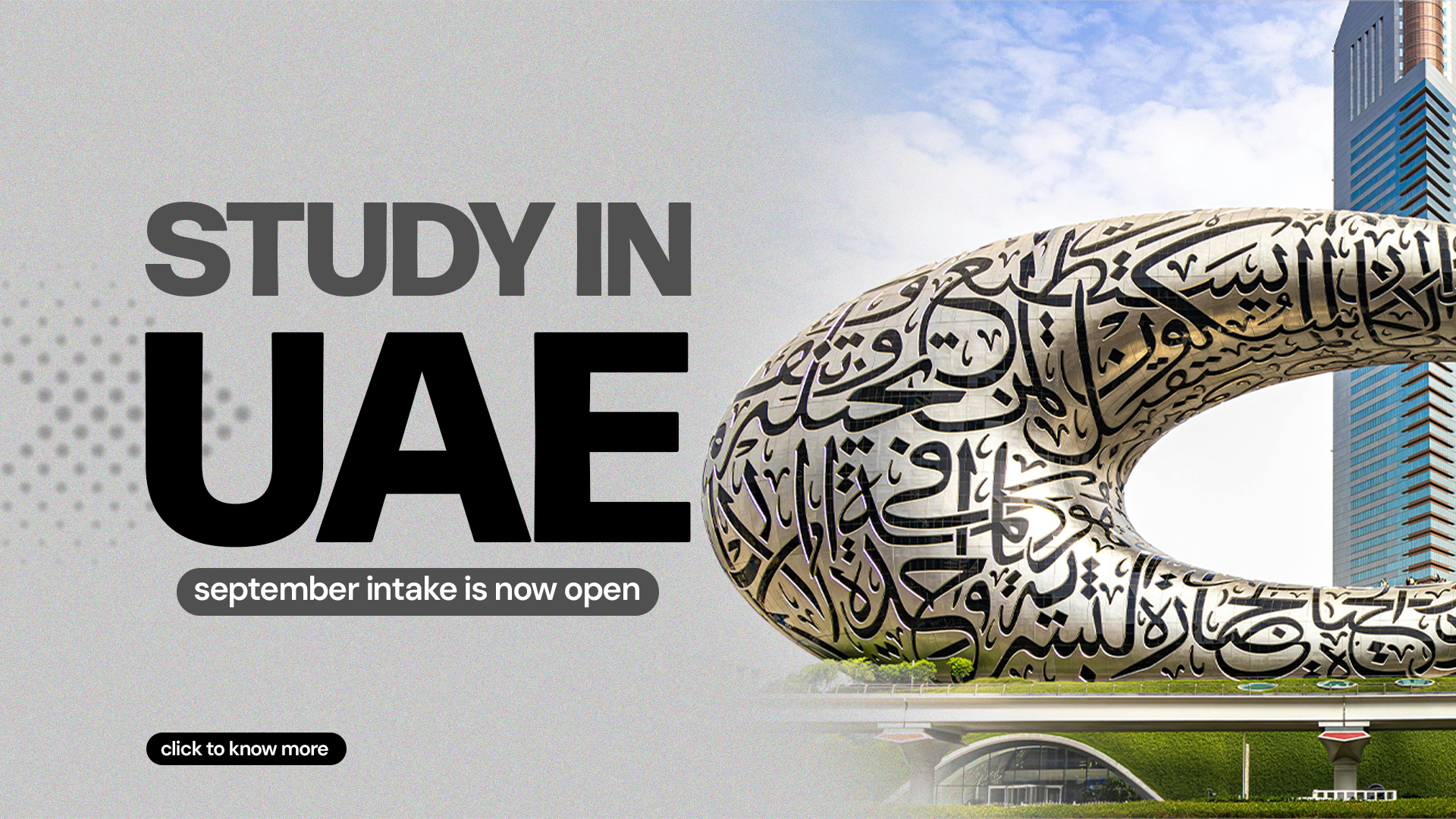 Bayroot Study Abroad