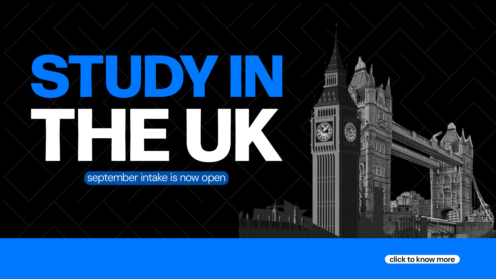 Bayroot Study Abroad